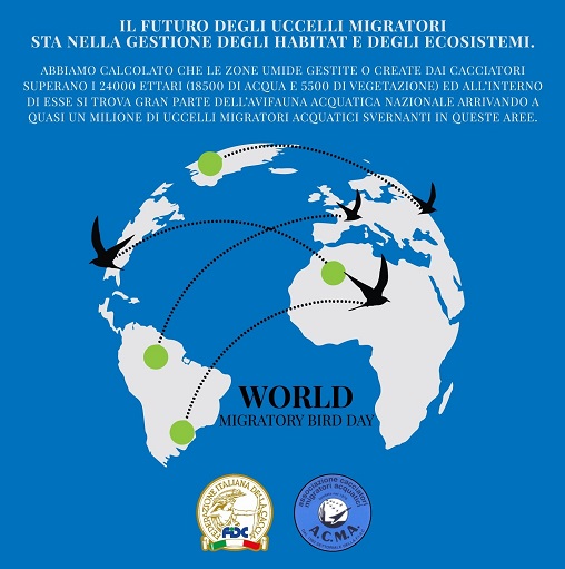 Giornata mondiale uccelli migratori